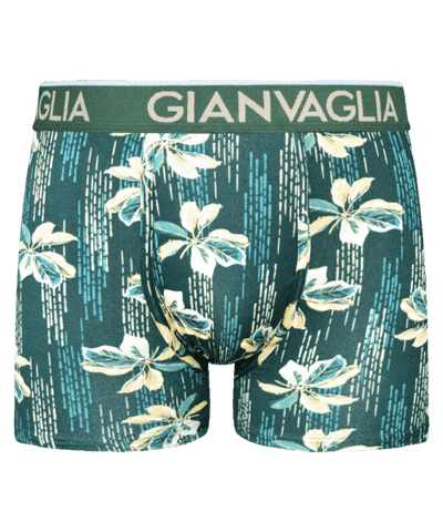 GIANVAGLIA® Deluxe Heren Katoenen Boxershort met print 5-Pack GVG-5069