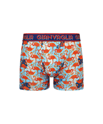 GIANVAGLIA® Deluxe Heren Katoenen Boxershort met print 5-Pack GVG-5066